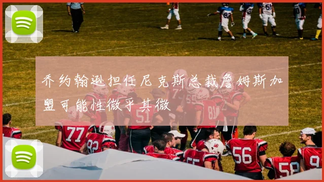 乔约翰逊担任尼克斯总裁詹姆斯加盟可能性微乎其微