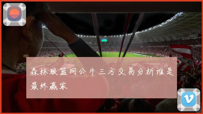 森林狼篮网公牛三方交易分析谁是最终赢家